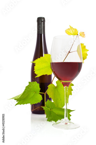 Photo: Wein - 001 - Rotwein - Glas - Blätter Wein - 001 - Rotwein - Glas - Blätter