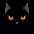 black cat