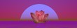 Lily flower and moonlight