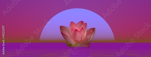 Illustration: Lily flower and moonlight Lily flower and moonlight