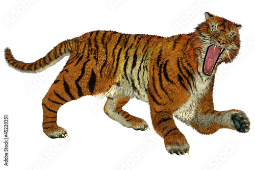 Illustration: Tiger raging Tiger raging