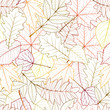 seamless with autumn leaves