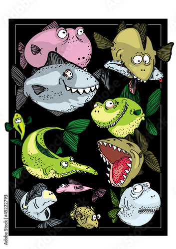 Vector: Predatory fishes Predatory fishes