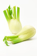 Fenchel