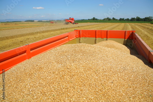 Photo: Récolte du blé : moissoneuse et tracteur Récolte du blé : moissoneuse et tracteur