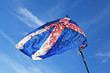 Blood stained torn scottish flag