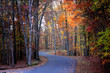 Photo: Scenic drive through Babcock state park Scenic drive through Babcock state park