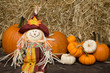 Autumn decoration