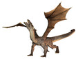 brüllender Drache