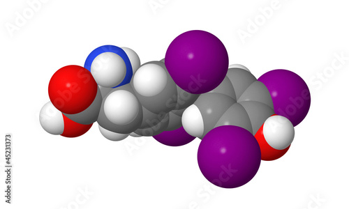 Illustration: Thyroxine (T4) CPK spacefill molecular model Thyroxine (T4) CPK spacefill molecular model