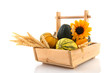 Wooden basket ornamental gourds and grain