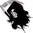 dead skull