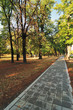 Path in Autumn Park