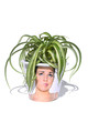 Variegated pot plant in fun container