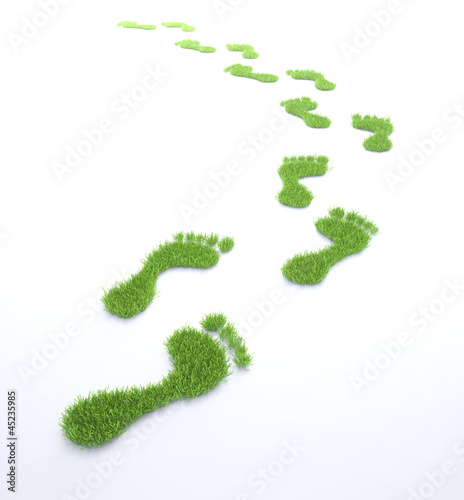 Illustration: Ecological footprint concept illustration Ecological footprint concept illustration