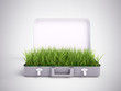 Illustration: Grass growing out of a suitcase Grass growing out of a suitcase