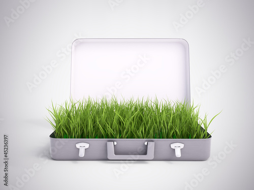 Illustration: Grass growing out of a suitcase Grass growing out of a suitcase