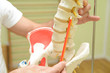 Physiotherapie 14