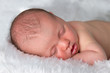 Close up headshot of sleeping newborn baby