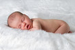 Sleeping newborn baby girl on tummy