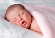 Sleeping newborn baby girl on tummy
