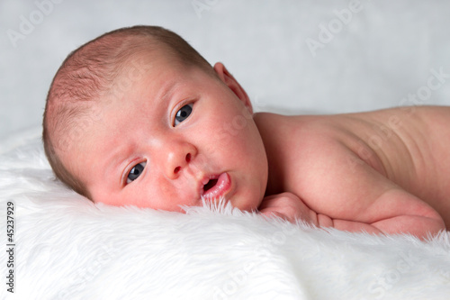 Photo: Newborn baby layong on belly looking peacefully at camera Newborn baby layong on belly looking peacefully at camera