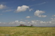 Hamburger Hallig