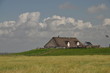 Hamburger Hallig