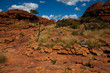 On top of Kings Canyon IMG_2384