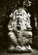 ganesh