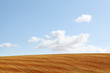 field harvested