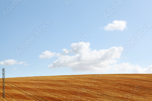 Photo: field harvested field harvested