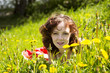 Photo: Portrait of a beautiful woman Portrait of a beautiful woman