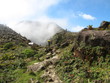 La Soufrière 6