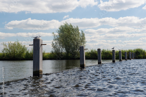 Photo: Poles in river Poles in river