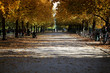 herbstliches Parkanlage mit Fahrrad