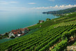 Lavaux, Suisse