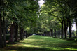 Allee