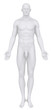 Male body in anatomical position anterior view clipping path
