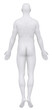 Male body in anatomical position posterior view clipping path