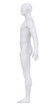 Male body in anatomical position lateral view clipping path