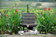 Weinpresse