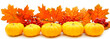 Border or edge of pumpkins and vibrant autumn leaves