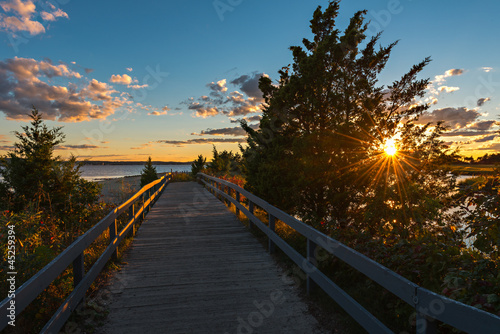 Photo: The setting sun over the lake breaks through branches of trees The setting sun over the lake breaks through branches of trees