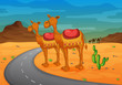 camel