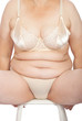 Torso fat woman