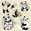 Pandas set.