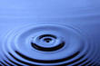 Water Drop Water Drop