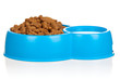 Bowl of dog food