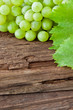 Wein